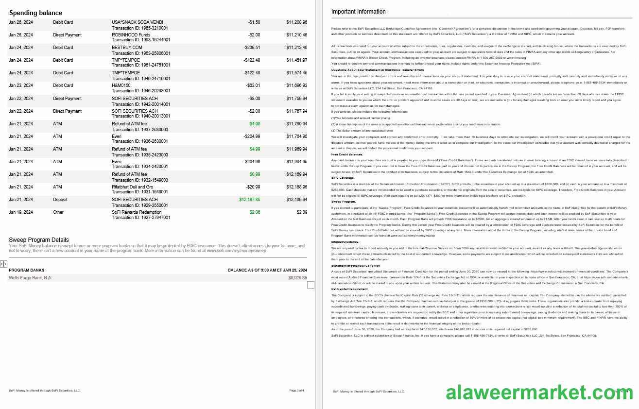 USA Sofi bank statement, 4 pages 2